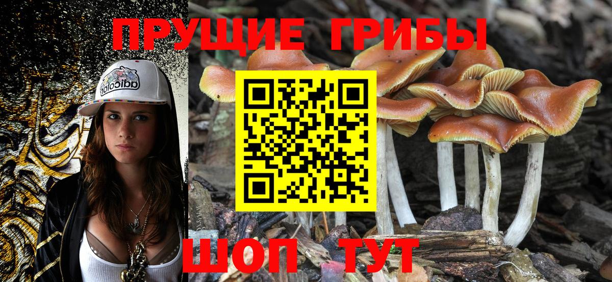 Галлюциногенные грибы MAGIC MUSHROOMS  Вход с VPN  Лесосибирск 