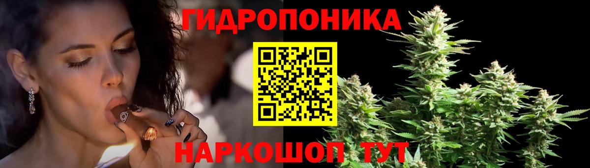 Бошки марихуана ГИДРОПОН Лесосибирск
